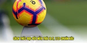 Cách Chơi Kèo Chấp 0.5 Trong Cá Cược Bóng Đá Và Chiến Thuật Hiệu Quả