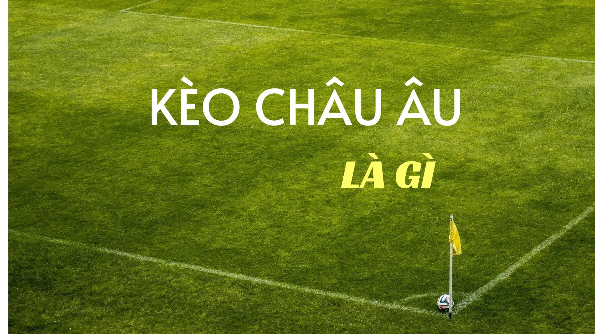 Hướng Dẫn Chi Tiết Cách Chơi Kèo Châu Âu Hiểu Đúng Để Dễ Thắng