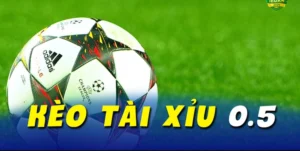 Cách Chơi Kèo Tài Xỉu Hiệu Quả Cho Người Mới Bắt Đầu Năm 2026