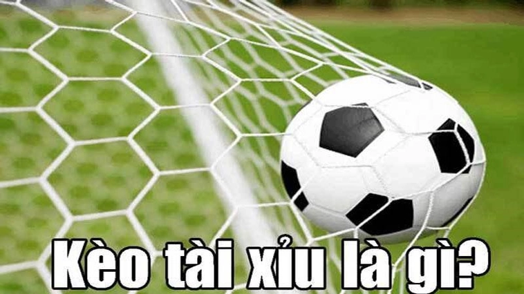Cách Chơi Kèo Tài Xỉu Bóng Đá Chuẩn Xác Giúp Tăng Cơ Hội Thắng